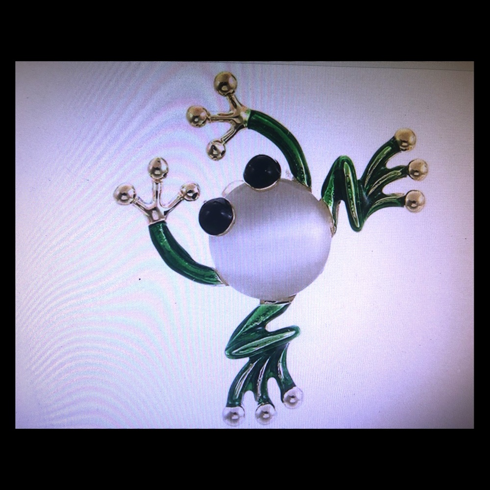 CUTE FROG BROOCH